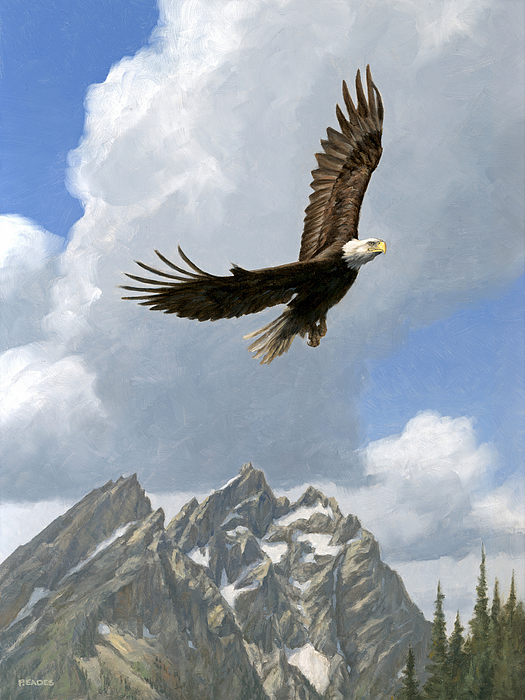 Soaring by Peter Eades Soaring by Peter Eades